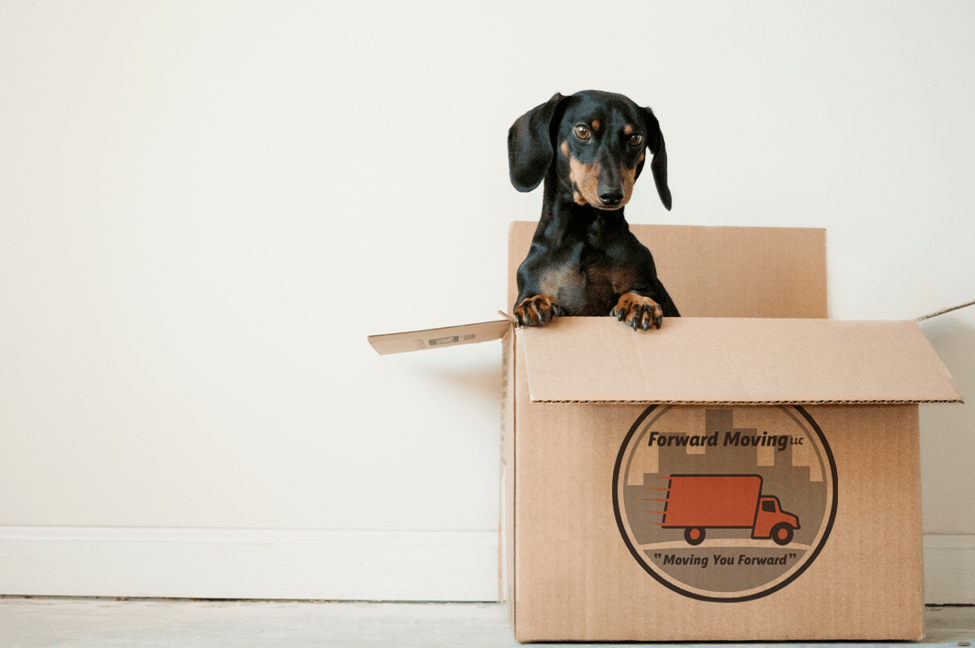 Senior Moving and Relocation Company