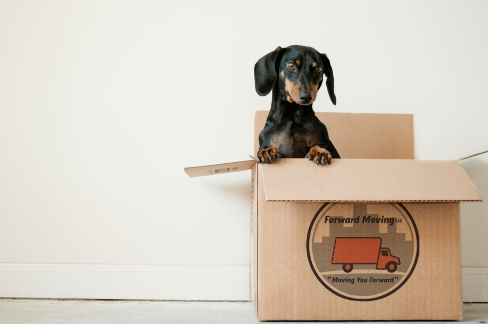 image-27-1_v1 Senior Moving and Relocation Company